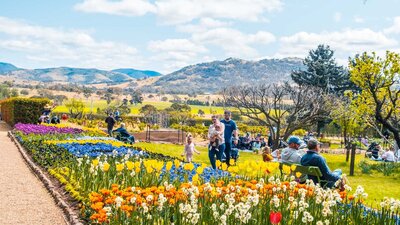 Visitors wander the gardens at Lanyon Homestead