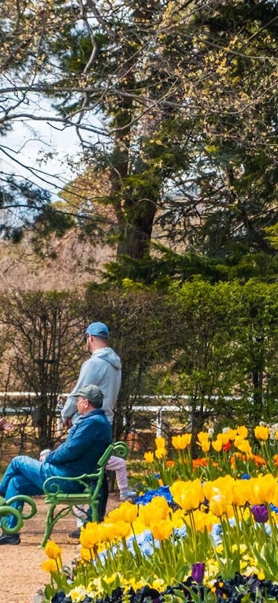 Mother and child admire tulips in bloom at Lanyon Homestead