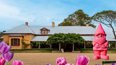 Promotional image featuring Lanyon Homestead with Floyd the gnome and tulips in bloom
