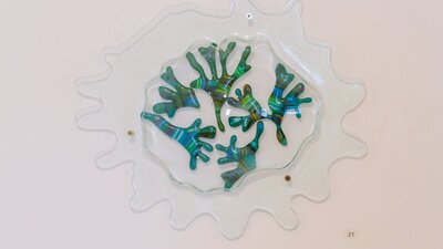 a glass sculpture of seaweed made from greens inside a transparent glass bubble