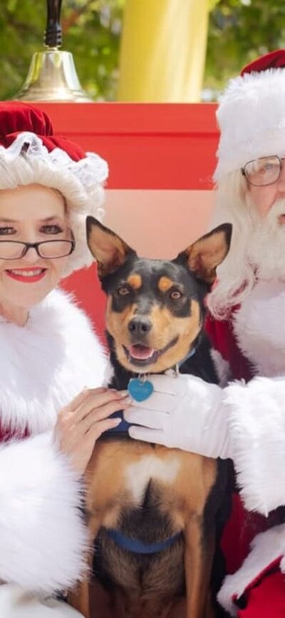 Santa and Mrs Claus with a kelpie dog