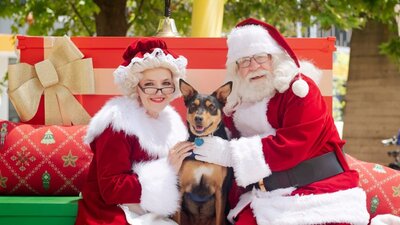 Santa and Mrs Claus with a kelpie dog