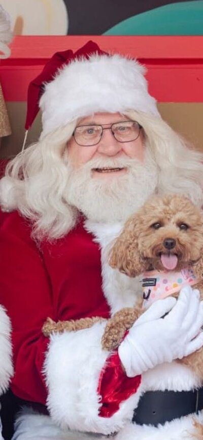 Santa and Mrs Claus with a small brown poodle
