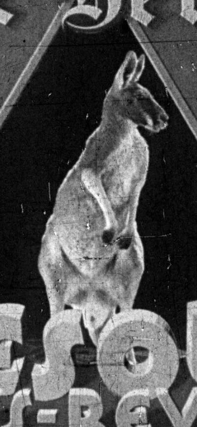 Black and white still of the herald with an image of a kangaroo