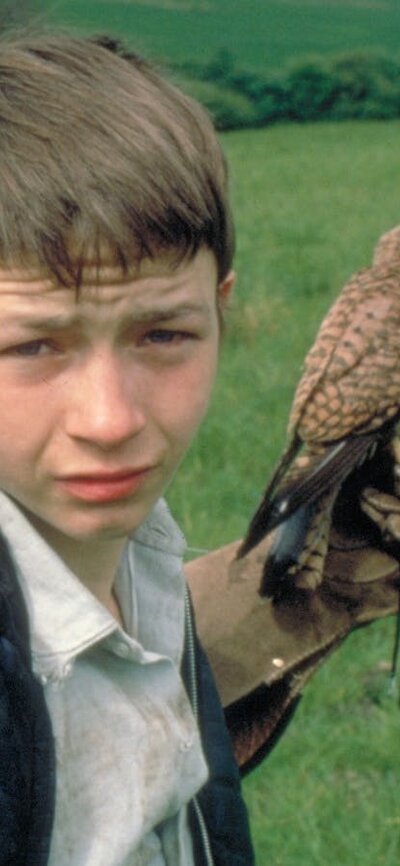 Kes (1969) Young boy looking at camera bracing a small bird