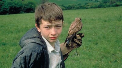Kes (1969) Young boy looking at camera bracing a small bird