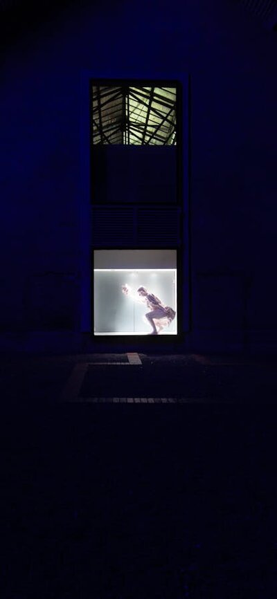 Peculiar and Funny Artwork made of PLA, 23ct Gold, Glass. Installed at the Canberra Glassworks