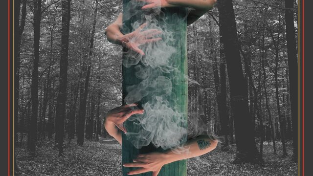 Kindling Promo Picture Two sets of hands wrap around a green pole. Black and white forest background. Smoke in foreground.