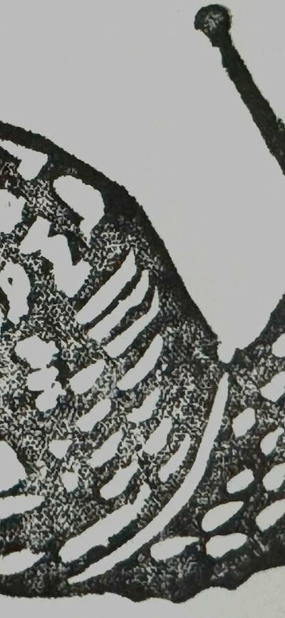 Snail black on white print