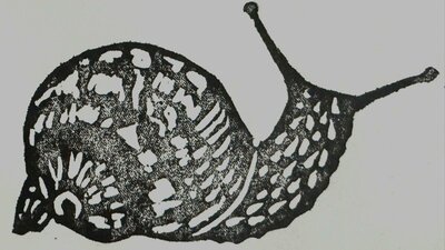 Snail black on white print