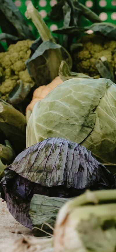 Produce at Haig Park Village Markets