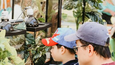 An image of a child and their carer looking at a snake display at the markets.