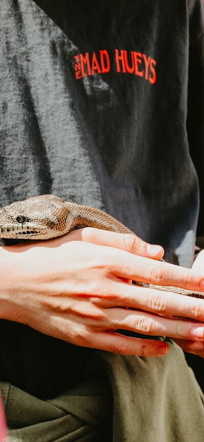 Reptile Show at Haig Park Village Markets Snake at Haig Park Village Markets