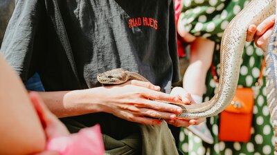 Reptile Show at Haig Park Village Markets Snake at Haig Park Village Markets