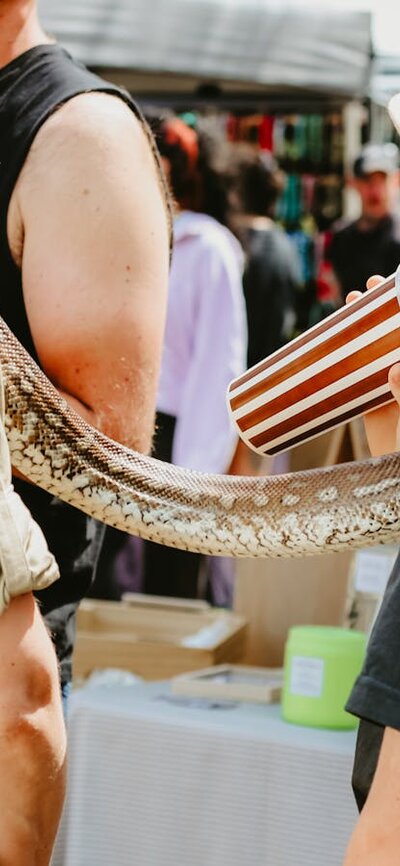 Canberra Snake Rescue at Haig Park Village Markets An image of Canberra Snake Rescue at the market