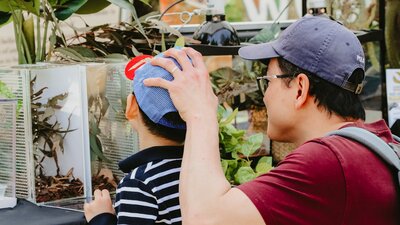 Reptile display at Haig Park Village Markets An image of Canberra Snake Rescue reptile display at Haig Park Village Markets