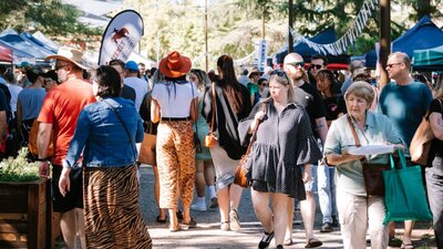 Market Day Market Day