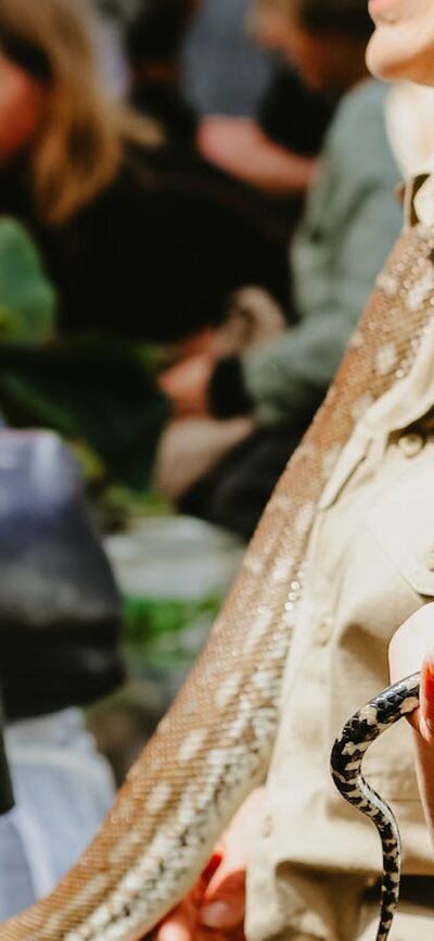 Spring Sustainability Market Day Spring Sustainability Market Day