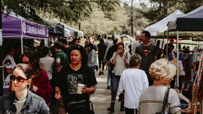 Market Day Spring