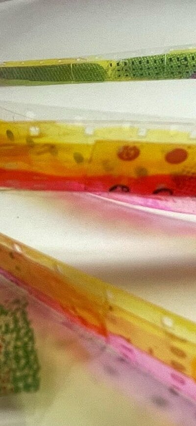 unrolled film strip, closeup image