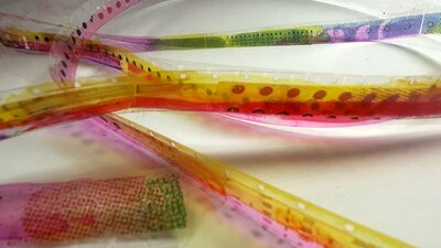 unrolled film strip, closeup image