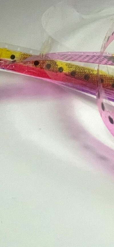 unrolled film strip, closeup image