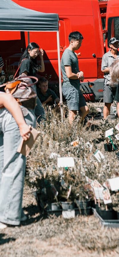 Crod at markets