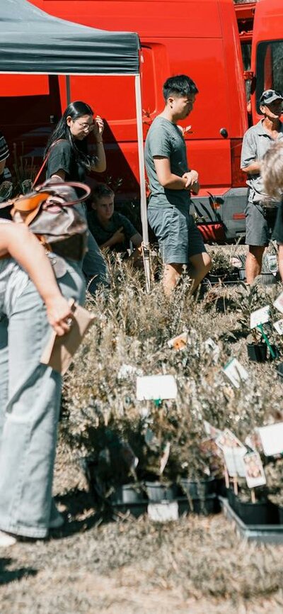 Crod at markets