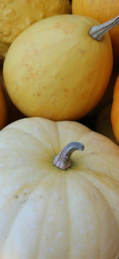 A basket of small orange pumkins