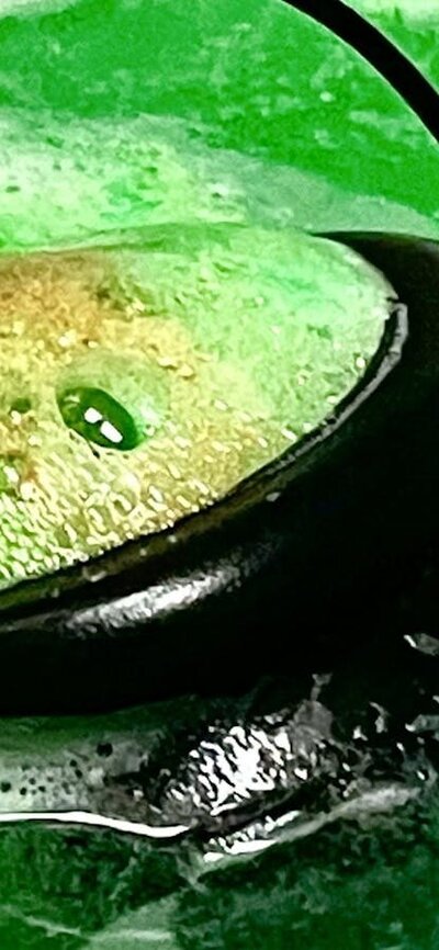 Bath bomb cauldron izzing green in water