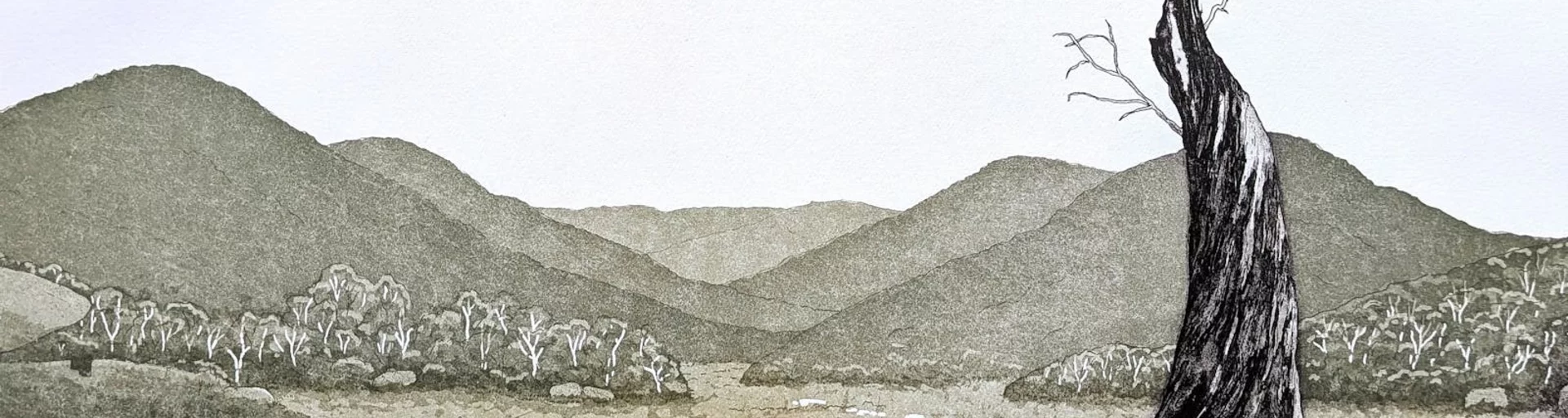 Histories & Habitats