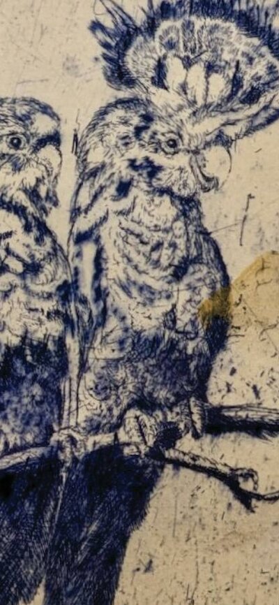 Birdwatch series - #25, etching and handcolouring, framed by Martin King Birdwatch series - #25, etching and handcolouring, framed by Martin King