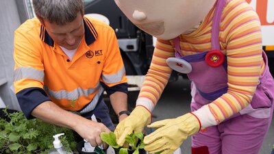 Planting up workshops