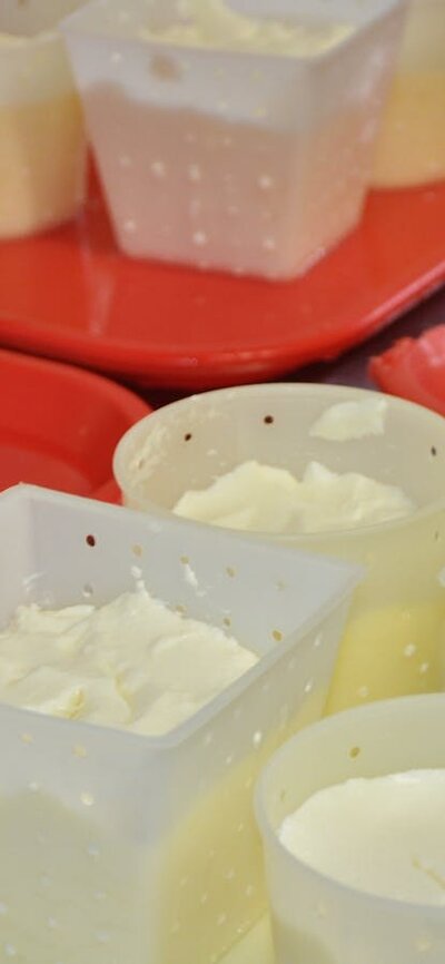 cheese