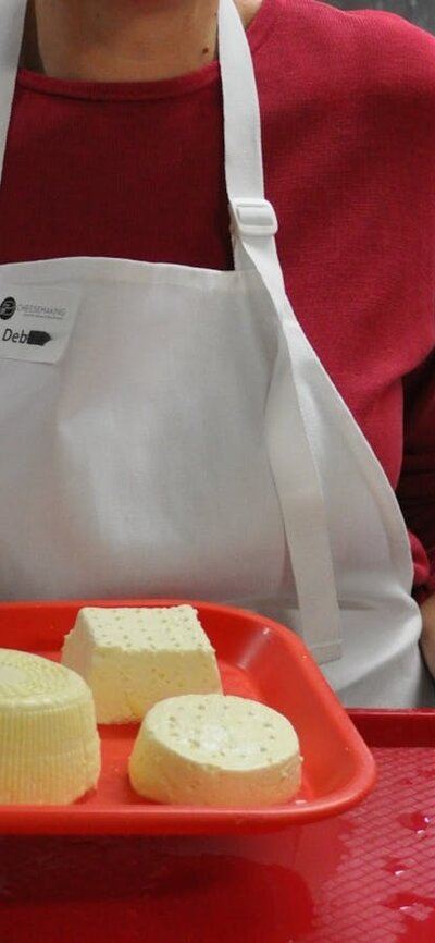 cheeses produced