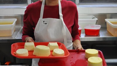 cheeses produced