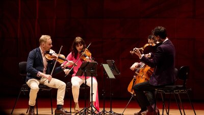 The four members of the Australian String Quartet performing on their Guadagnini instruments.