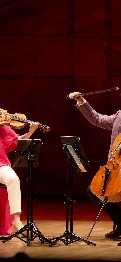 The four members of the Australian String Quartet performing on their Guadagnini instruments.