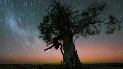 By dropping your ISO and taking a longer exposure shot you can get star trails with an aurora! A star trail can be obtained by using longer exposure techniques and can be covered in the course