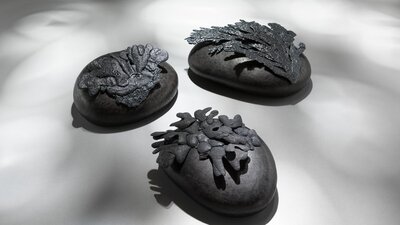 Image | Julie Blyfield Viridescent wall pieces #1-3 2024 | Photography by Grant Hancock