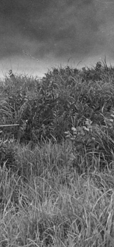 Black and white image in a field with two people wielding swords