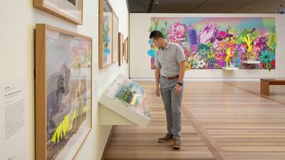 A man looking at a showcase inside the Joan Ross exhibition