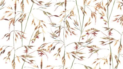 Painted pattern of native grass on a white background