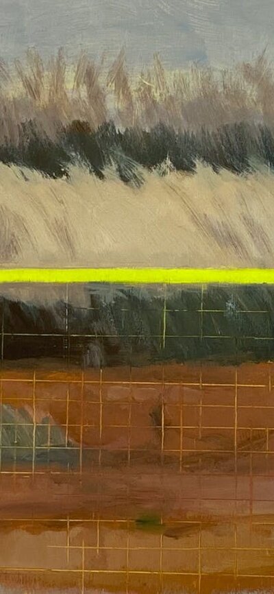 A kangaroo in tall grass with a bright yellow fence