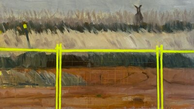 A kangaroo in tall grass with a bright yellow fence