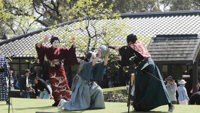 Photo of fight scene taken at Cowra Sakura Matsuri
