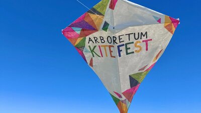 A hand decorated white kite floats in a bright blue sky with the words 'Arboretum Kitefest'