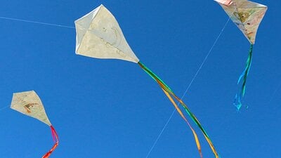 Kites in Sky