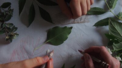 Three fair-skinned hands holding drawing tools over a sheet of butchers paper covered in leaves.