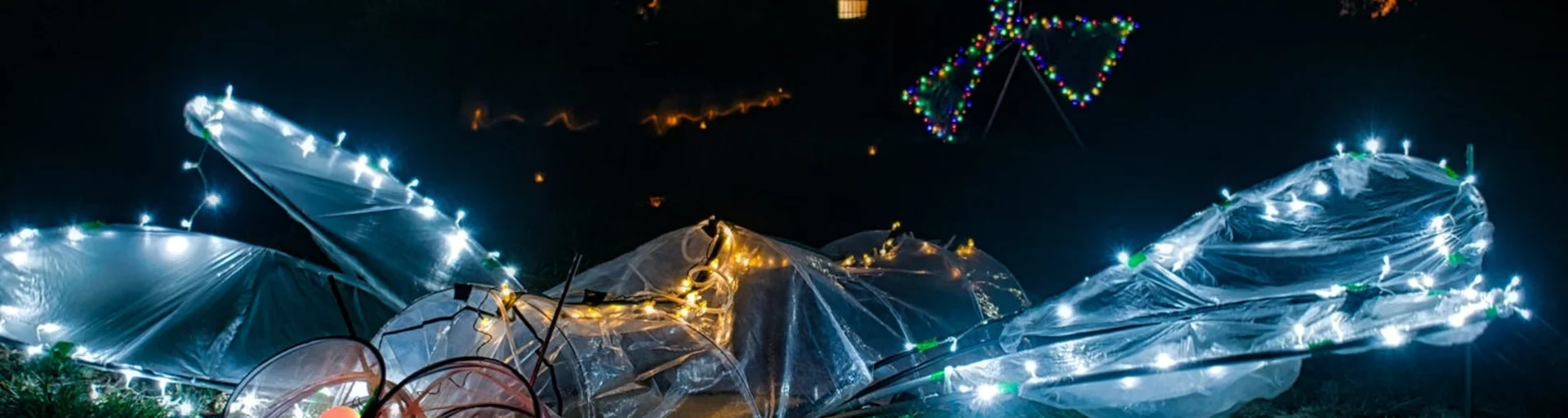 Light Up Lyneham